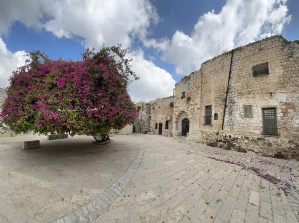  | موسوعة القرى الفلسطينية