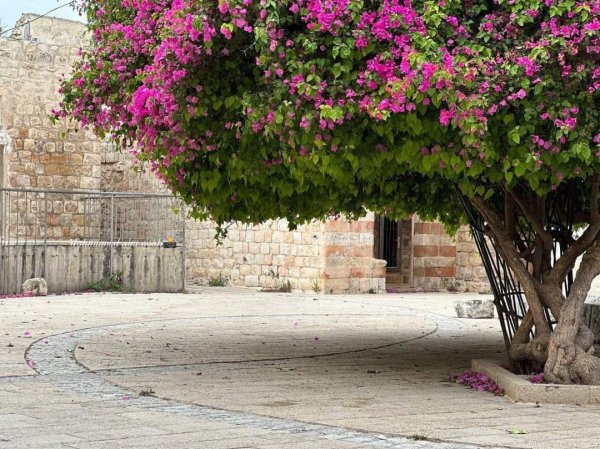  | موسوعة القرى الفلسطينية