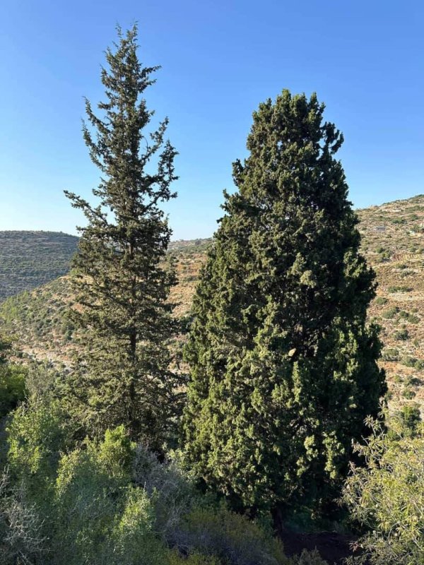  | موسوعة القرى الفلسطينية