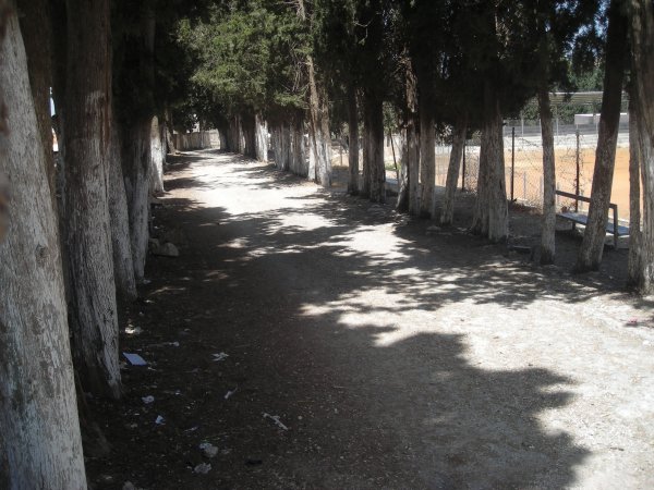  | موسوعة القرى الفلسطينية