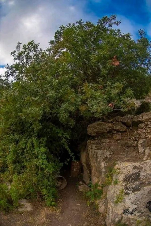  | موسوعة القرى الفلسطينية