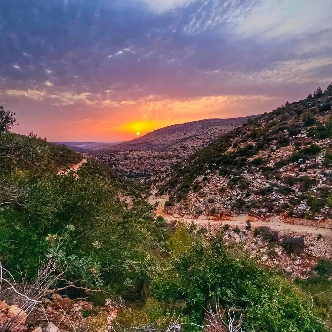 الغروب من جبال قرية دير غسانة في محافظة رام الله والبيرة 💚  تصوير Abo Geith