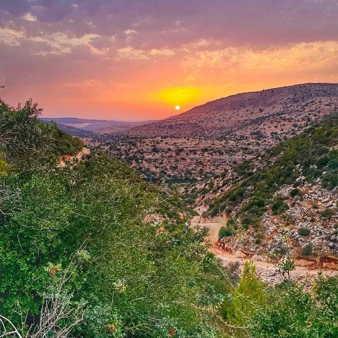 الغروب من جبال قرية دير غسانة في محافظة رام الله والبيرة 💚  تصوير Abo Geith