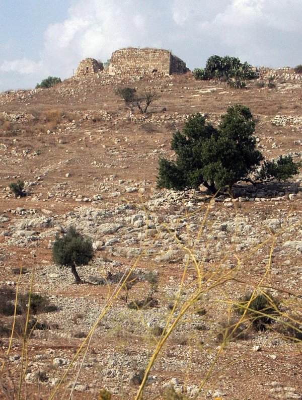 | موسوعة القرى الفلسطينية  | موسوعة القرى الفلسطينية