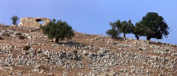 | موسوعة القرى الفلسطينية  | موسوعة القرى الفلسطينية