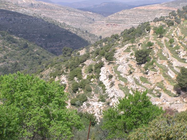  | موسوعة القرى الفلسطينية