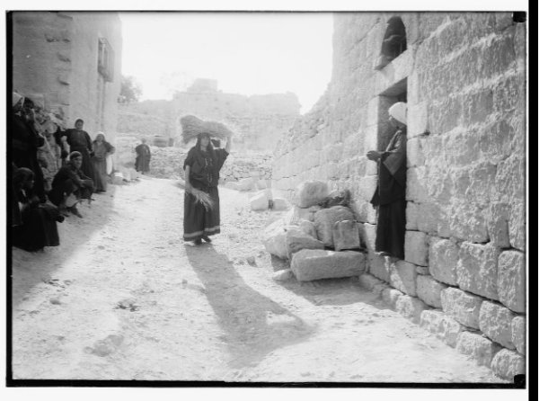 موسم الحصاد في القرية