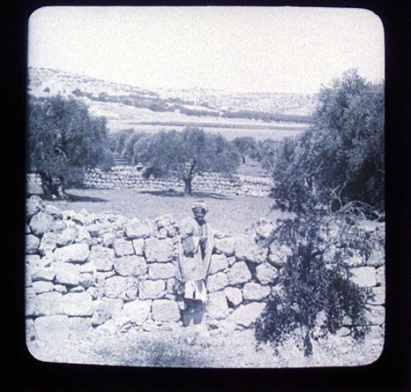 أراضي القرية