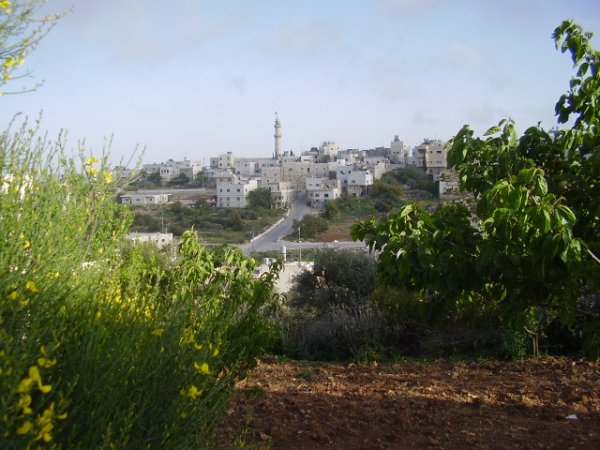  | موسوعة القرى الفلسطينية