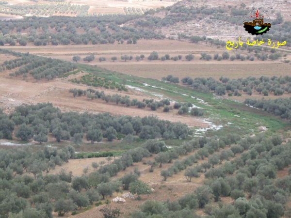 | موسوعة القرى الفلسطينية  | موسوعة القرى الفلسطينية