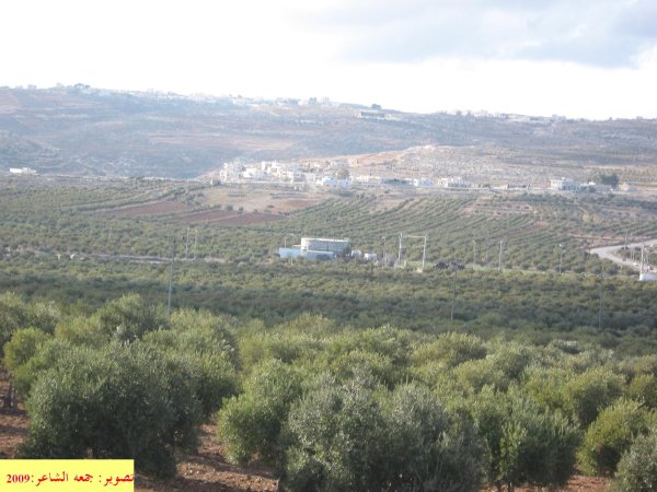 | موسوعة القرى الفلسطينية  | موسوعة القرى الفلسطينية