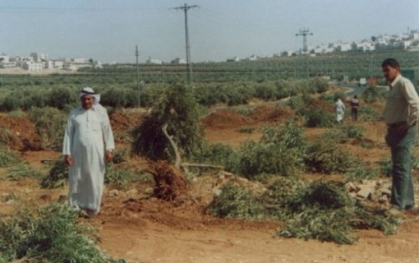 | موسوعة القرى الفلسطينية  | موسوعة القرى الفلسطينية
