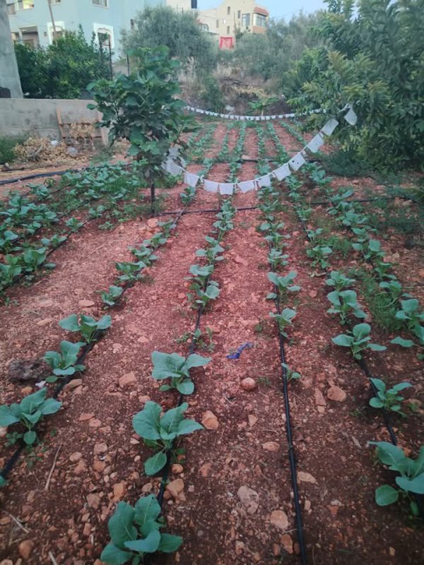  | موسوعة القرى الفلسطينية