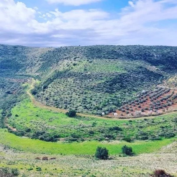  | موسوعة القرى الفلسطينية