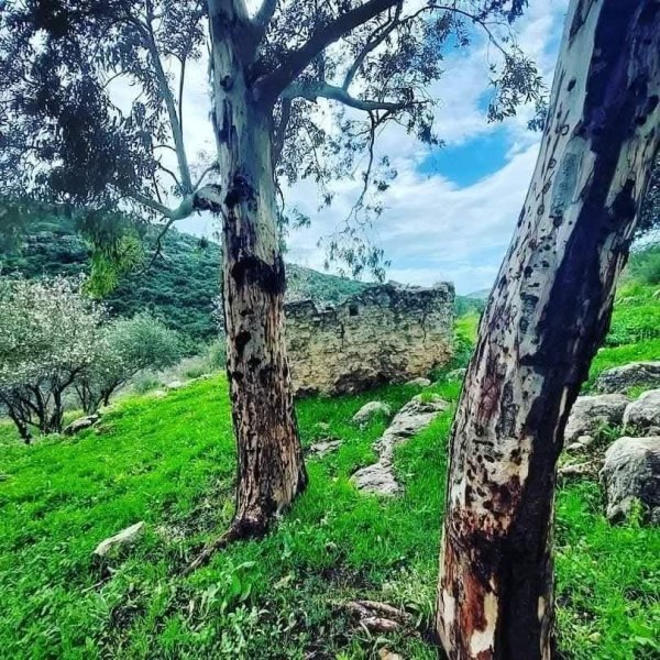  | موسوعة القرى الفلسطينية