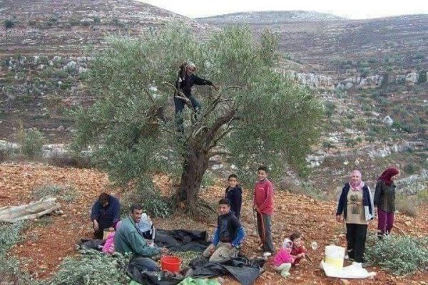  | موسوعة القرى الفلسطينية