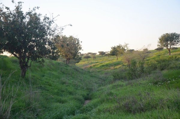  | موسوعة القرى الفلسطينية