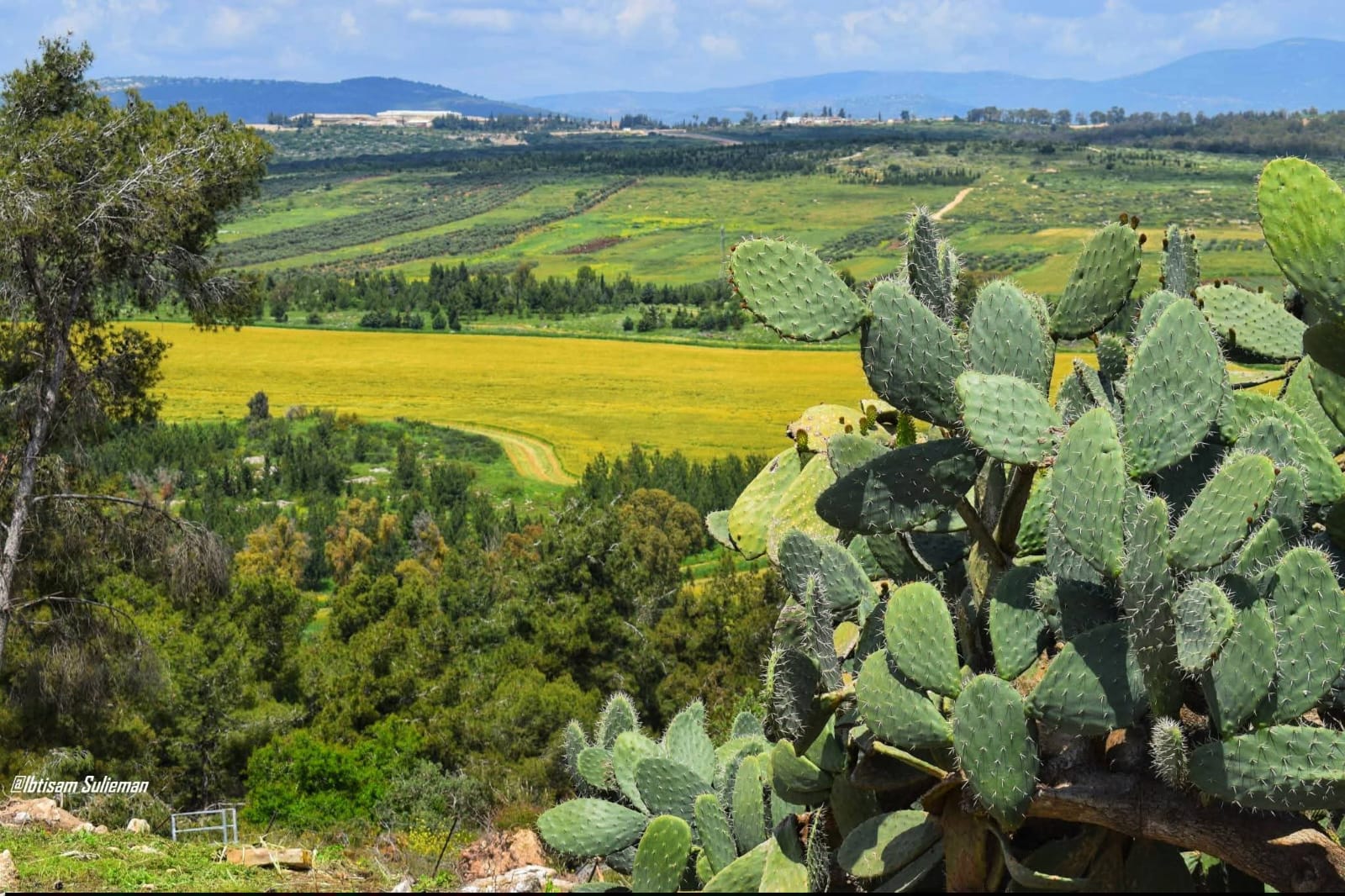  | موسوعة القرى الفلسطينية
