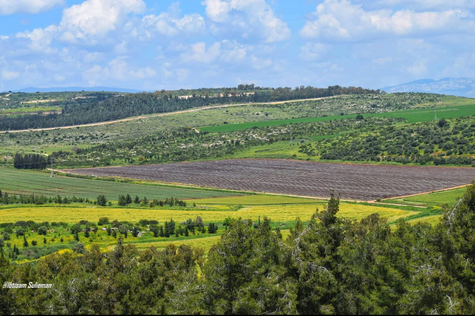  | موسوعة القرى الفلسطينية