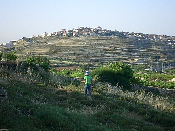 | موسوعة القرى الفلسطينية  | موسوعة القرى الفلسطينية