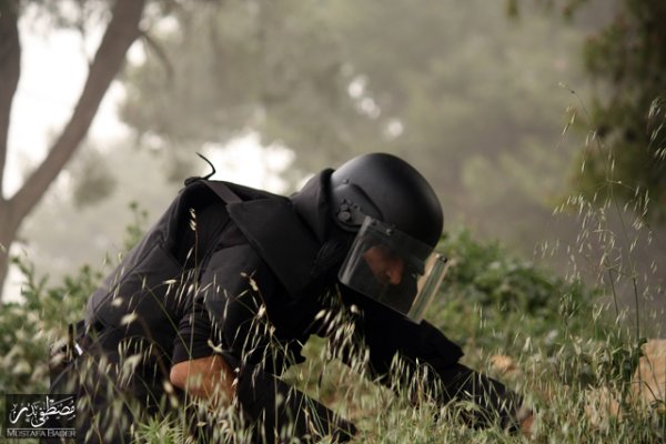 | موسوعة القرى الفلسطينية  | موسوعة القرى الفلسطينية