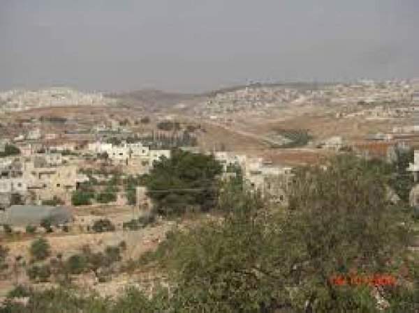 | موسوعة القرى الفلسطينية  | موسوعة القرى الفلسطينية