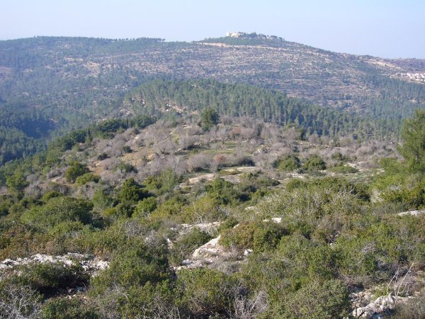  | موسوعة القرى الفلسطينية