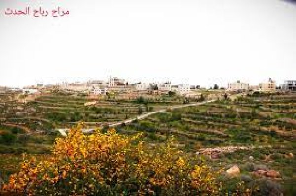  | موسوعة القرى الفلسطينية