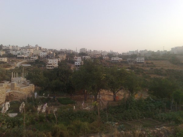  | موسوعة القرى الفلسطينية