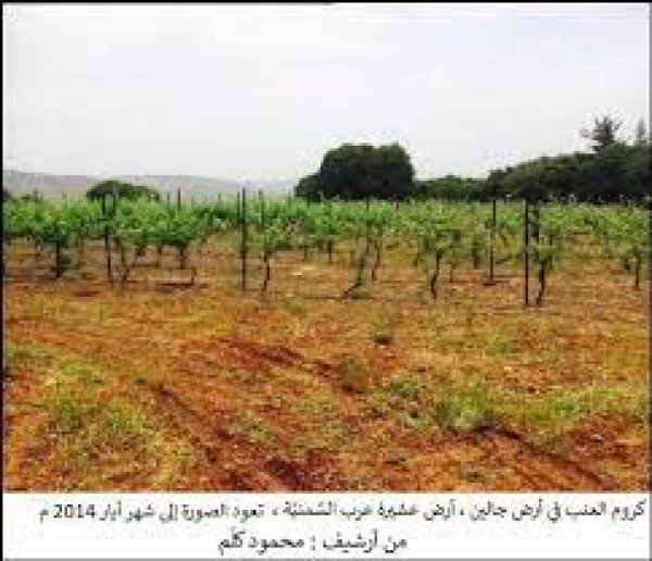 | موسوعة القرى الفلسطينية  | موسوعة القرى الفلسطينية