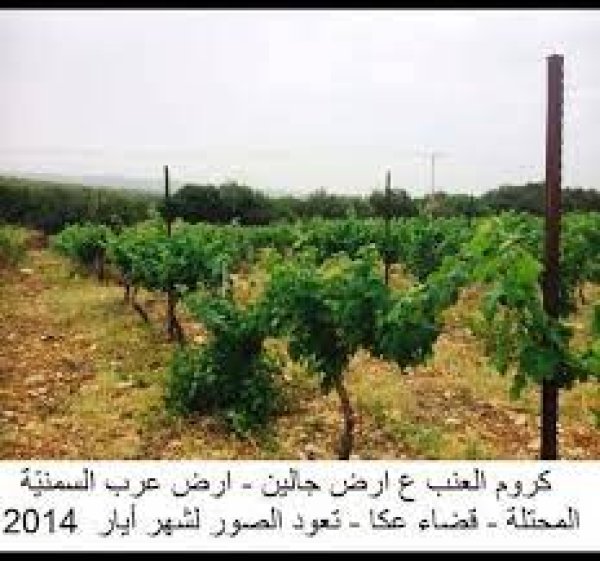 | موسوعة القرى الفلسطينية  | موسوعة القرى الفلسطينية