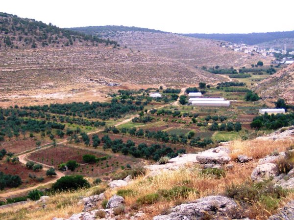  | موسوعة القرى الفلسطينية