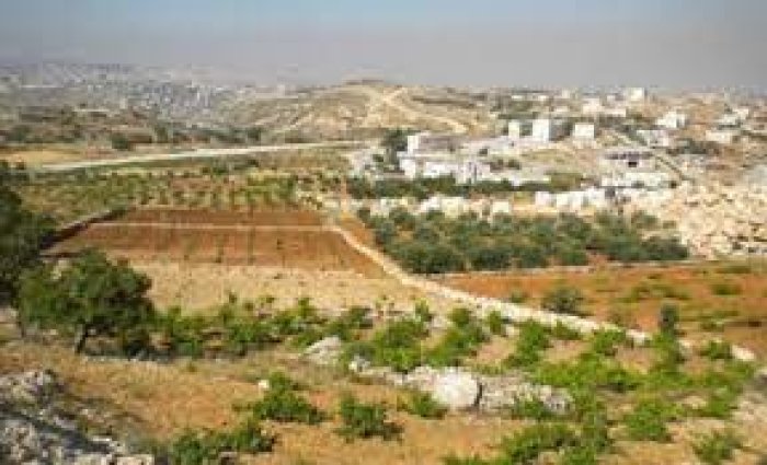 عرب الرشايدة  | موسوعة القرى الفلسطينية
