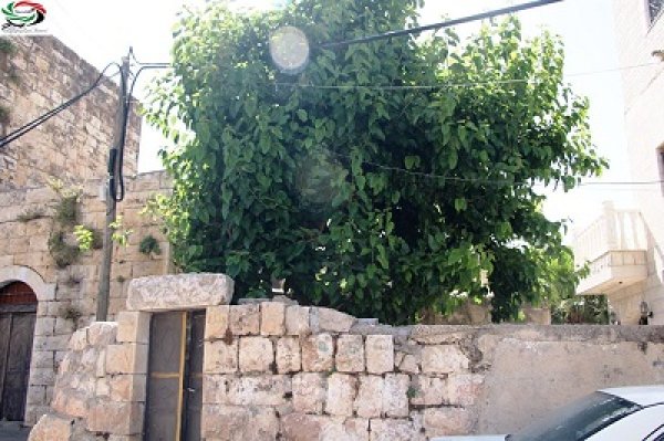 | موسوعة القرى الفلسطينية  | موسوعة القرى الفلسطينية