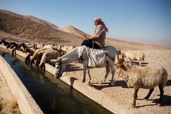  | موسوعة القرى الفلسطينية