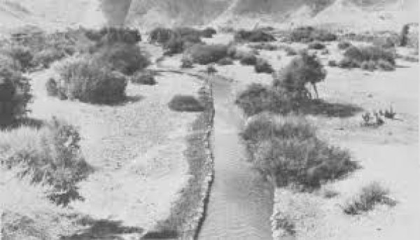 قرية العوجا قرية العوجا