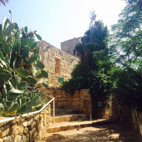 | موسوعة القرى الفلسطينية  | موسوعة القرى الفلسطينية