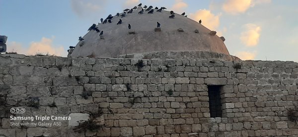 | موسوعة القرى الفلسطينية  | موسوعة القرى الفلسطينية