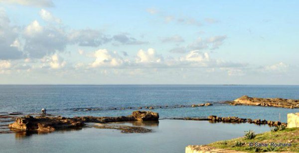 | موسوعة القرى الفلسطينية  | موسوعة القرى الفلسطينية