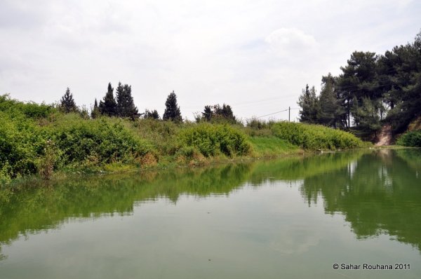 قرية اللجون