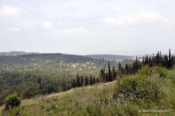 قرية اللجون