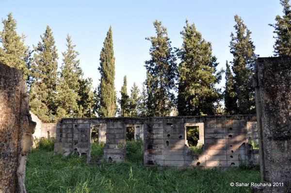 قرية اللجون