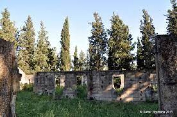 قرية اللجون