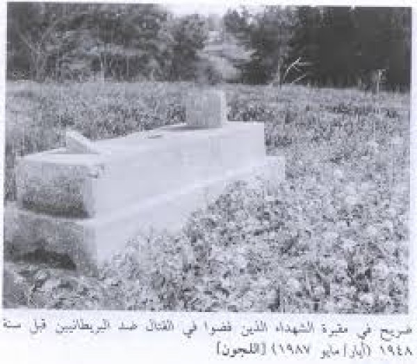 قرية اللجون قرية اللجون
