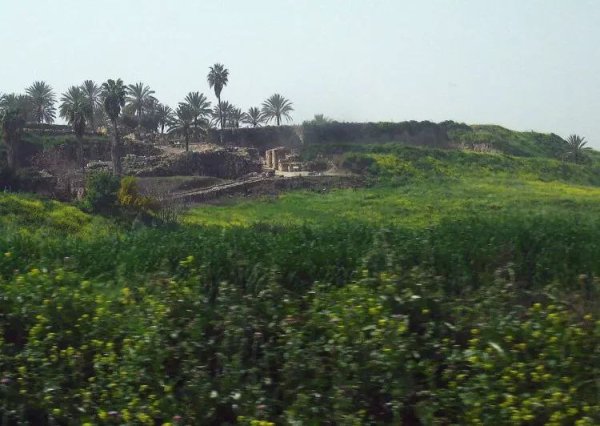 صور من موقع قرية عين المنسي المهجرة، نقلاً عن موقع فلسطين في الذاكرة