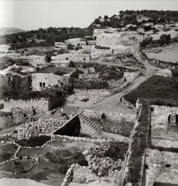 القرية القرية