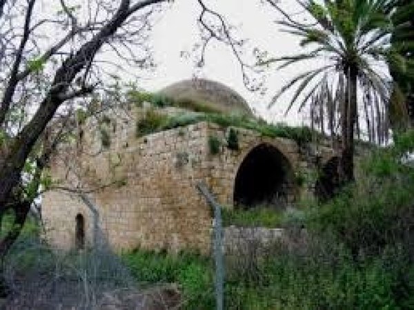| موسوعة القرى الفلسطينية  | موسوعة القرى الفلسطينية