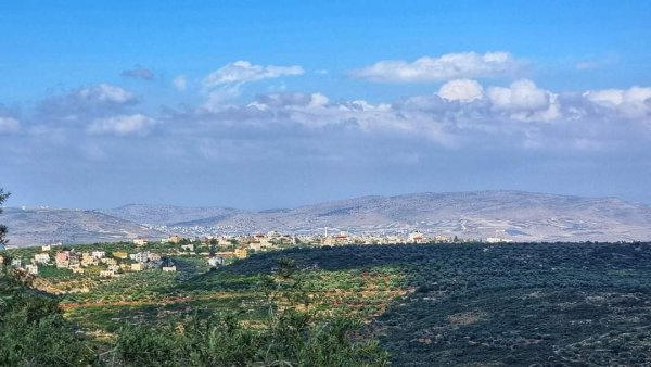 | موسوعة القرى الفلسطينية  | موسوعة القرى الفلسطينية