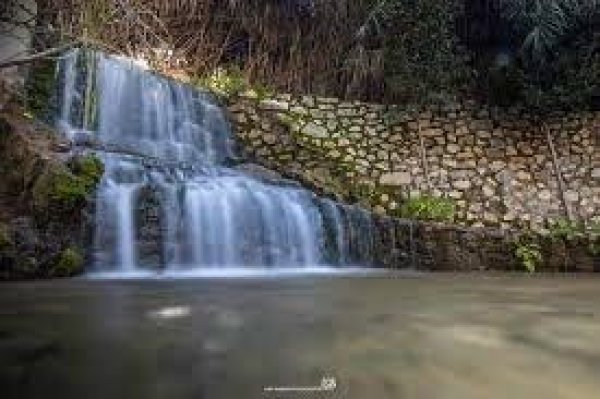 | موسوعة القرى الفلسطينية  | موسوعة القرى الفلسطينية