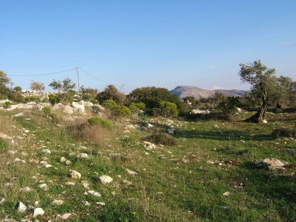 | موسوعة القرى الفلسطينية  | موسوعة القرى الفلسطينية